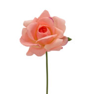 GNW Peach Pink Artificial Wedding Rose Sticks Real Touch XL-11