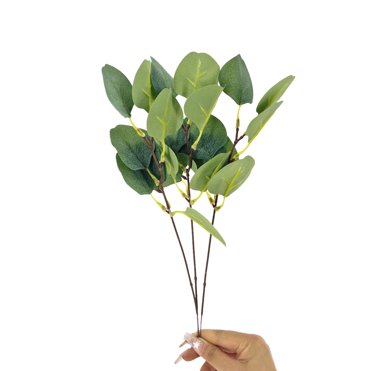 IMG_6242 GNW Green Artificial Eucalyptus With Round Leaves TC-13 - Image 1