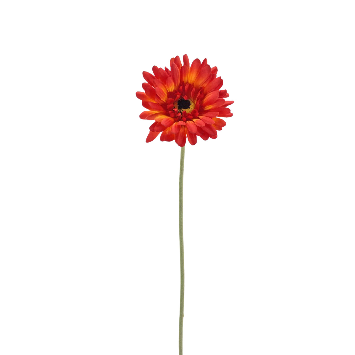 IMG_6300 GNW Orange Artificial Chrysanthemum DY-19 - Image 1