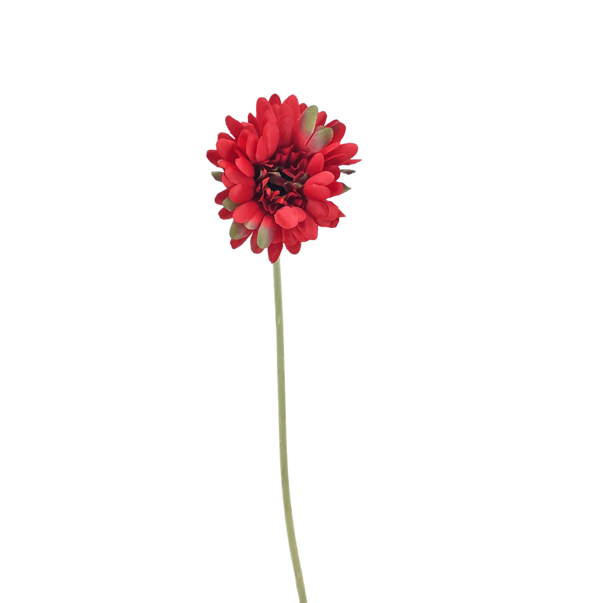 IMG_6323 GNW Red Artificial Chrysanthemum DY-16 - Image 1