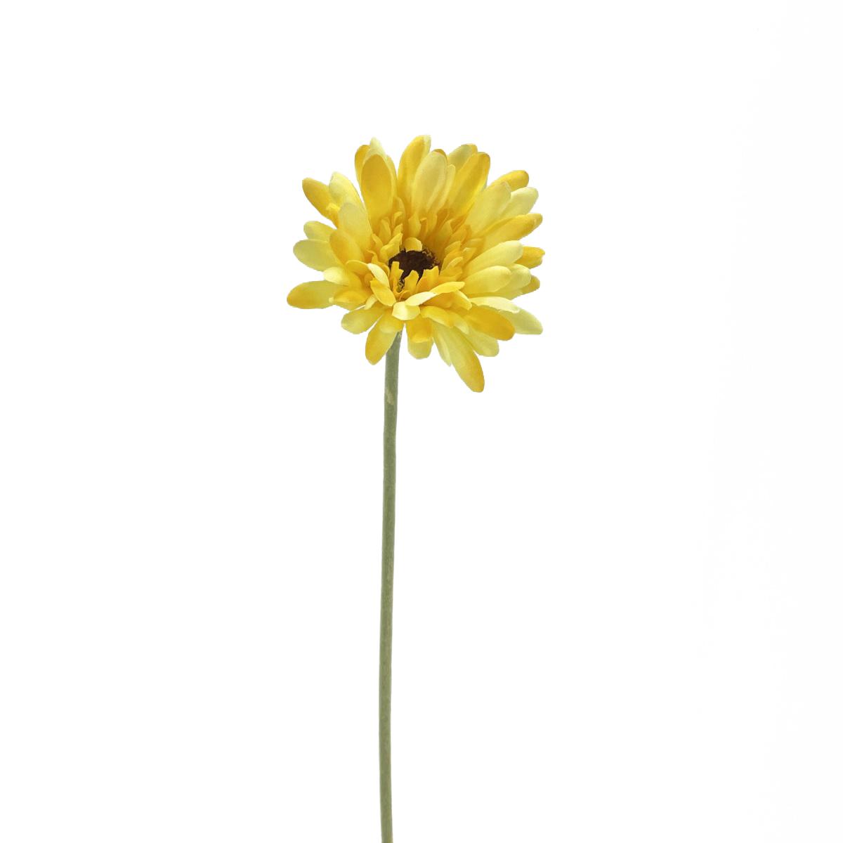 IMG_6340 GNW Yellow Artificial Chrysanthemum DY-08 - Image 1