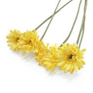 GNW Yellow Artificial Chrysanthemum DY-08 - Image 2