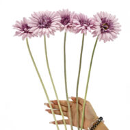 GNW Purple Artificial Chrysanthemum DY-11 - Image 3