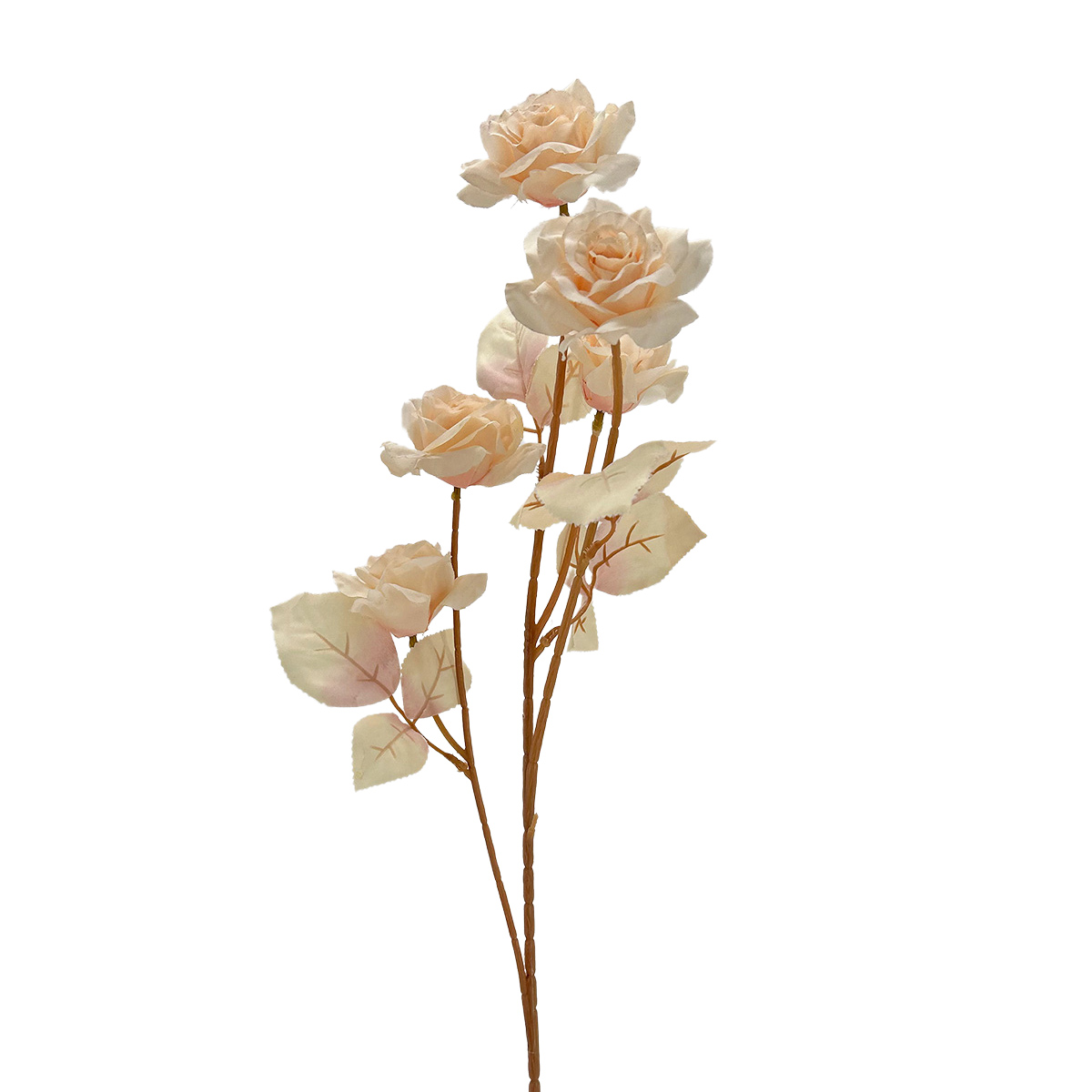 IMG_6796-(7) GNW Light Orange Artificial Garden Rose Silk XHH-02 - Image 1