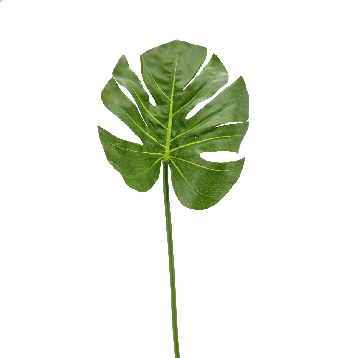 IMG_6870 GNW Green Artificial Turtle Leaf Real Touch LZ-243 - Image 1