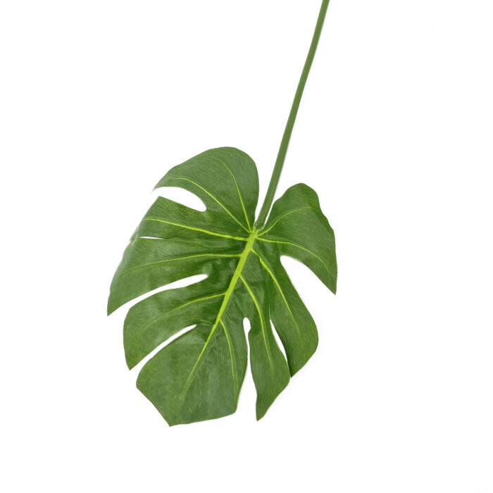 GNW Green Artificial Turtle Leaf Real Touch LZ-243 - Image 2