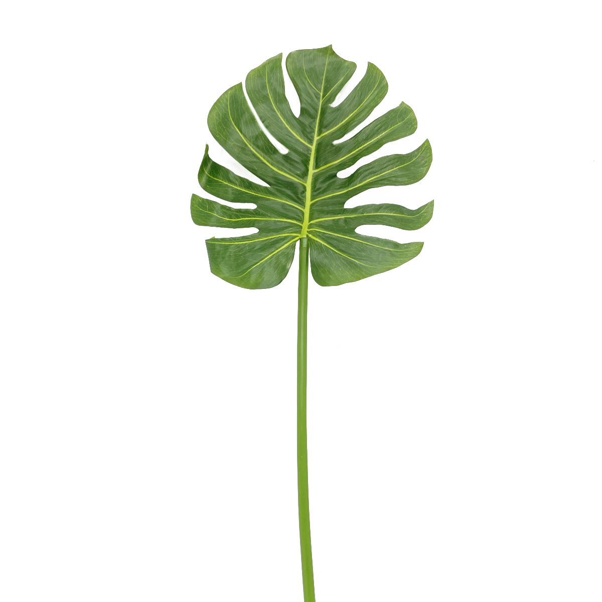 IMG_6873 GNW Green Artificial Big Turtle Leaf Real Touch LZ-244 - Image 1