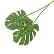 GNW Green Artificial Big Turtle Leaf Real Touch LZ-244 - Image 2