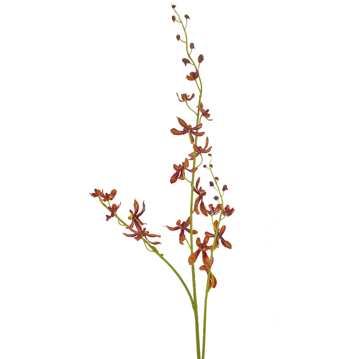 IMG_6894 GNW Red Artificial Dendrobium Orchid LZ-209 - Image 1