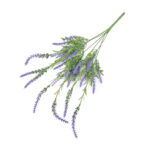 GNW Purple Artificial 50CM Lavender LZ-231