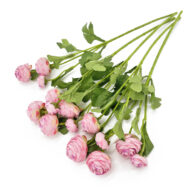 GNW Dark Pink Artificial Small Peony LRX-46 - Image 3
