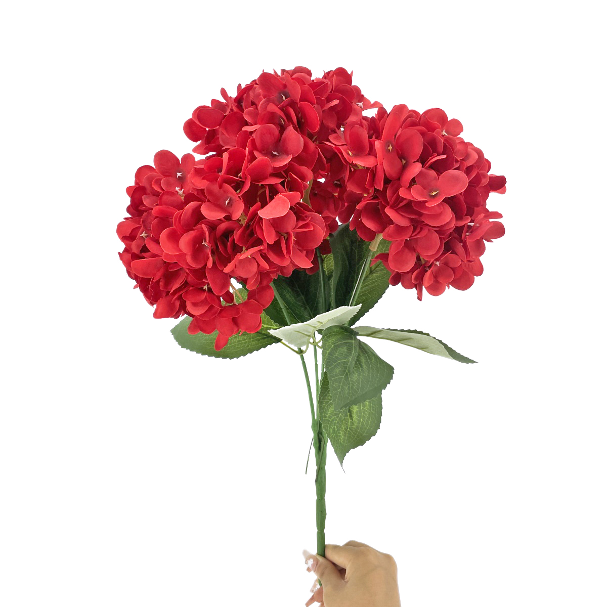 IMG_7145 GNW Red Artificial 5-head Single Hydrangea Silk MY-176 - Image 1