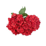 GNW Red Artificial 5-head Single Hydrangea Silk MY-176 - Image 2