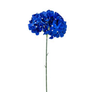 GNW Dark Blue Hydrangea Silk LRR-356