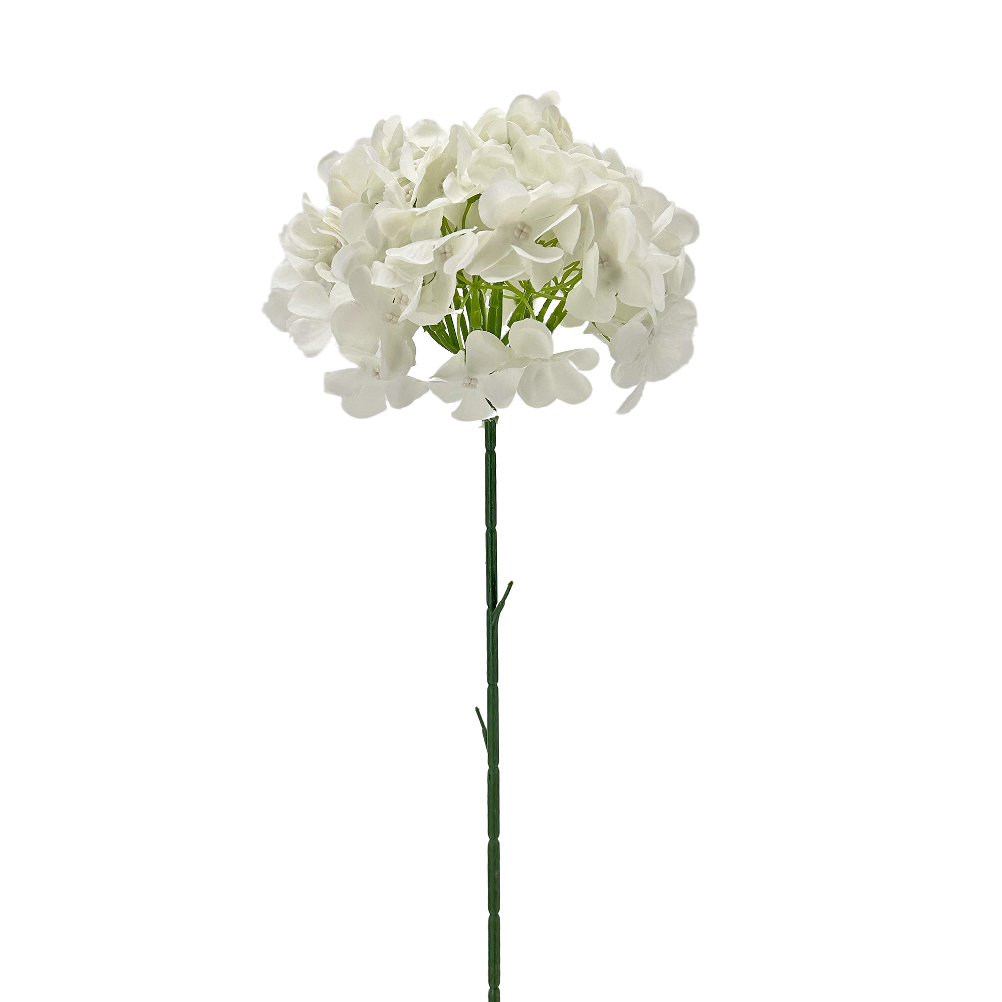 IMG_7367 GNW White Hydrangea Silk LRR-349 - Image 1