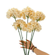 GNW Champagne Hydrangea Silk LRR-350 - Image 2
