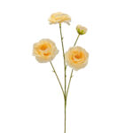 GNW Champagne Artificial Herbaceous Peony LRR-334