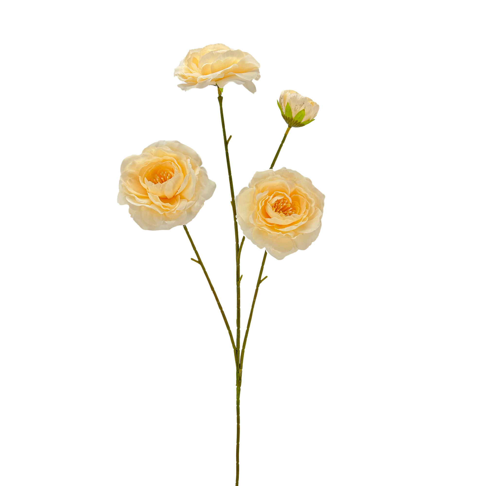 IMG_7427 GNW Champagne Artificial Herbaceous Peony LRR-334 - Image 1