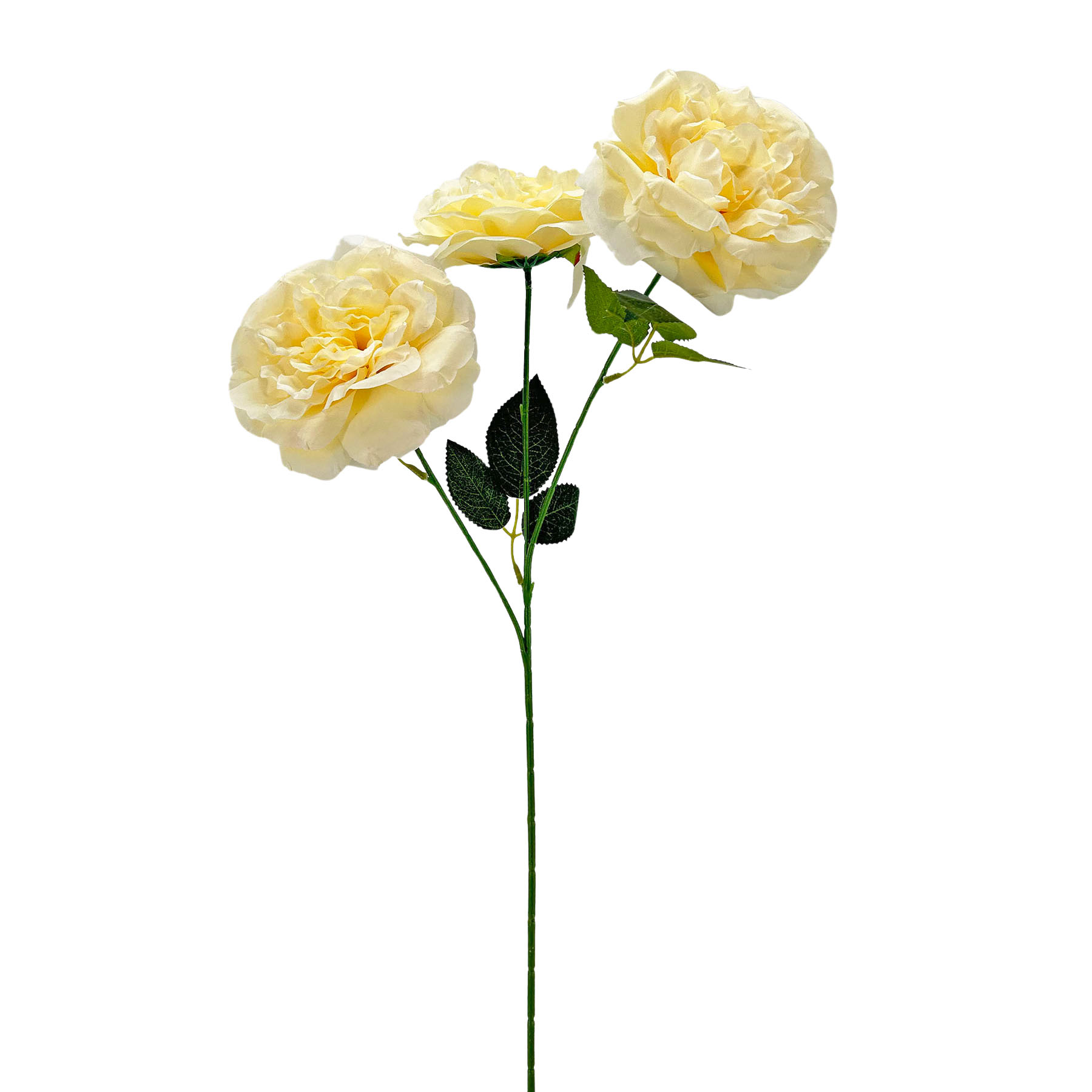IMG_7470 GNW Champagne Artificial Chinese Rose Peony LRR-342 - Image 1