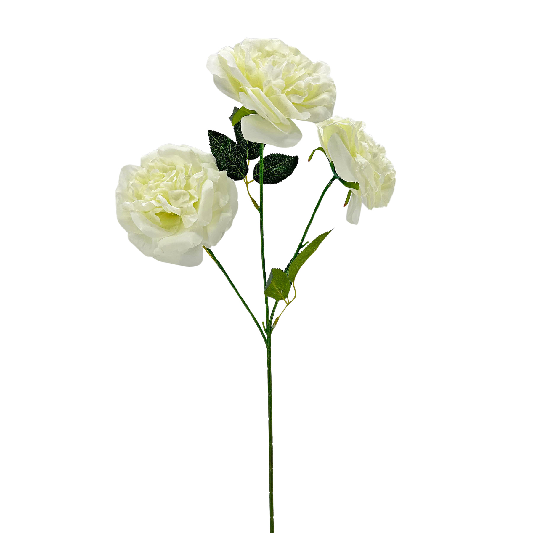IMG_7479 GNW White Artificial Chinese Rose Peony LRR-341 - Image 1