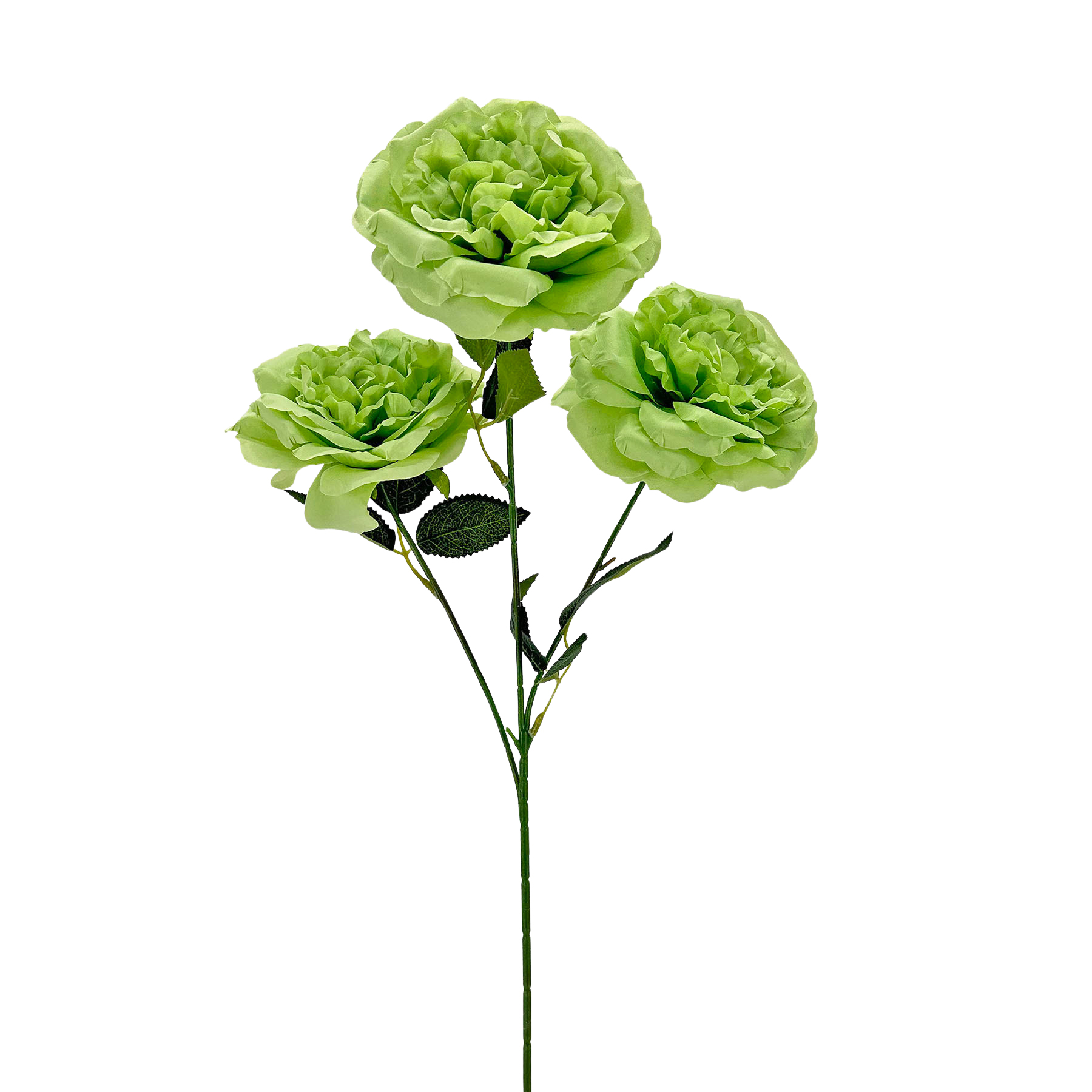 IMG_7485 GNW Green Artificial Chinese Rose Peony LRR-348 - Image 1
