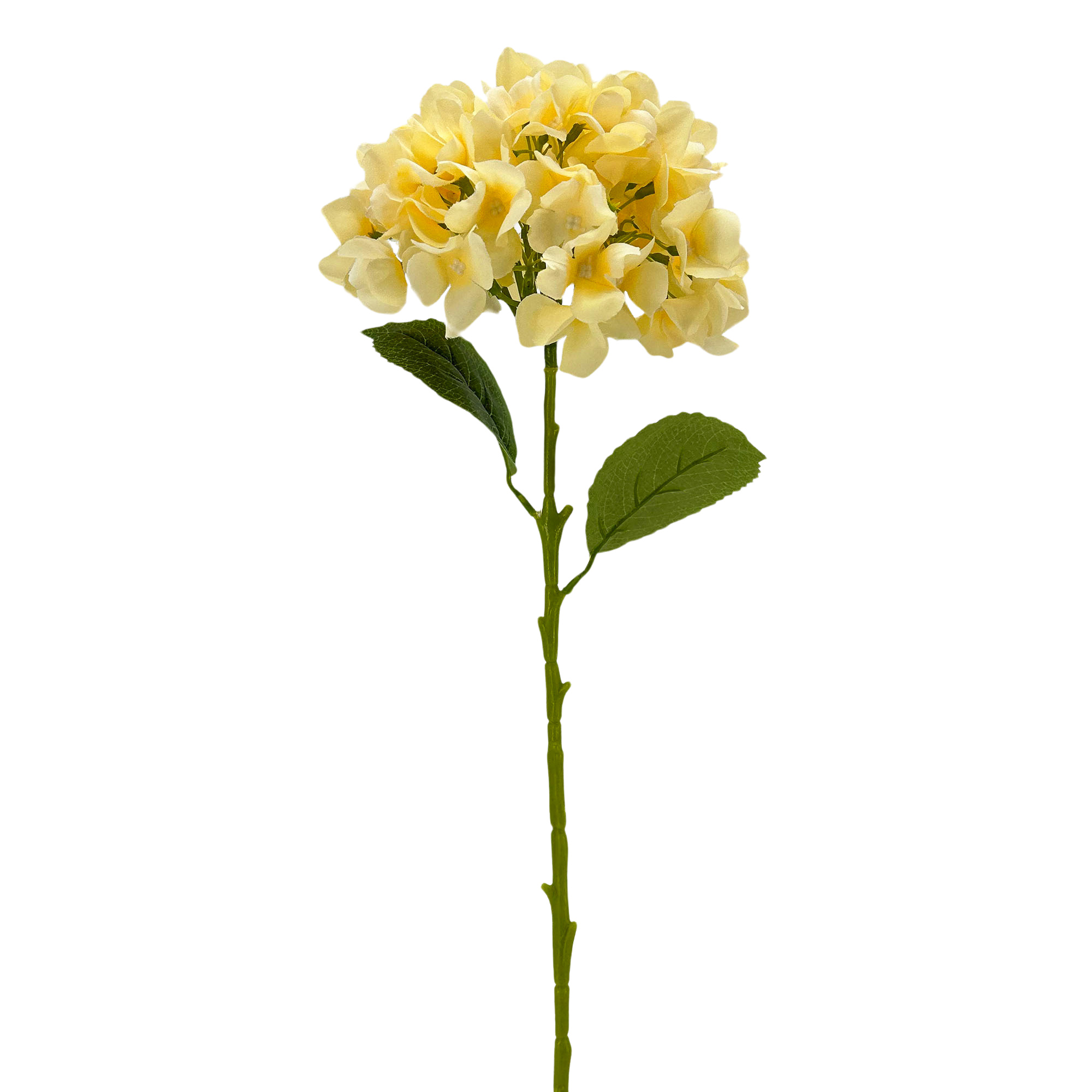 IMG_7564 GNW Champagne Artificial Floral Hydrangea Silk LRR-363 - Image 1