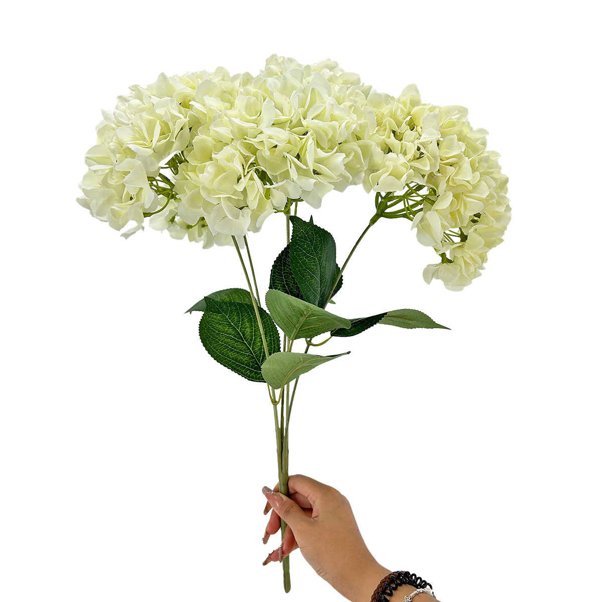IMG_8144 GNW White Artificial 5-head Single Hydrangea Silk LRR-463 - Image 1