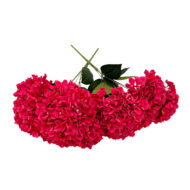 GNW Rose Red Artificial 5-head Single Hydrangea Silk LRR-466 - Image 2