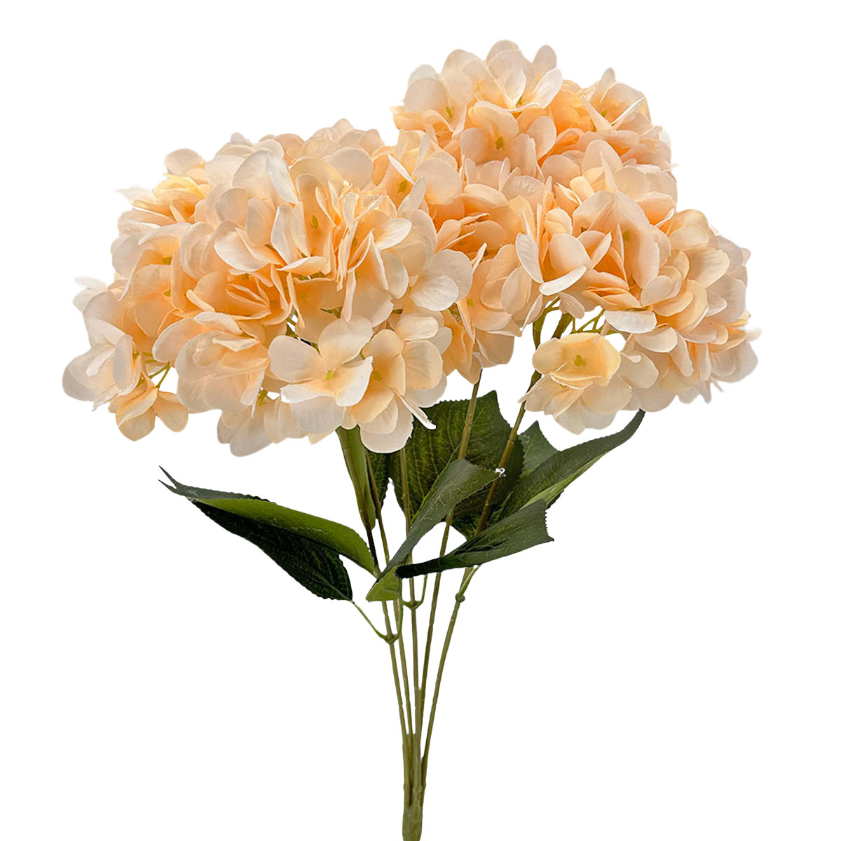 IMG_8254 GNW Light Orange Artificial 5-head Single Hydrangea Silk LRR-501 - Image 1