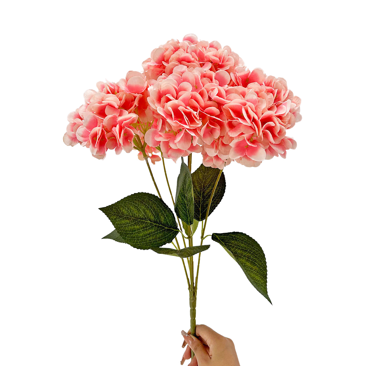 IMG_8298 GNW Pink Artificial 5-head Single Hydrangea Silk LRR-491 - Image 1