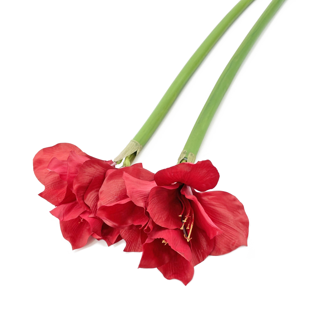 IMG_8399 (2) GNW Red Artificial Amaryllis - Image 1