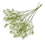 GNW White Artificial Wild Flower LZ-43 - Image 2
