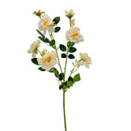 GNW Champagne Artificial Chinese Rose Peony QZ-33