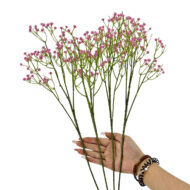 GNW Fuchsia Artificial Baby's Breath LZ-202 - Image 3