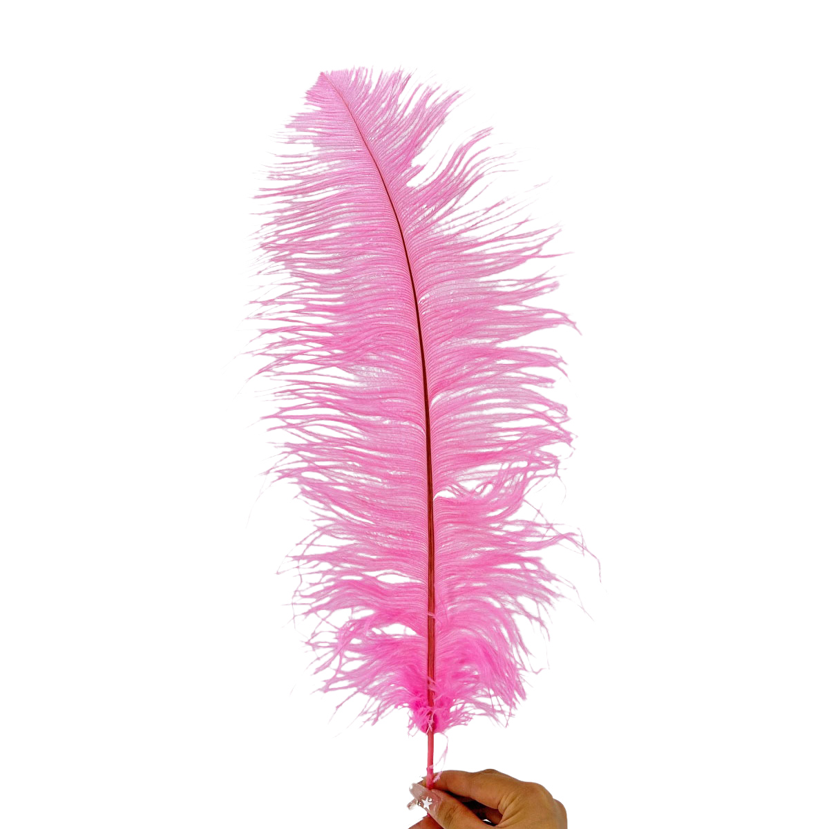 IMG_9391 GNW Dark Pink Artificial Feather 35-40Cm - Image 1