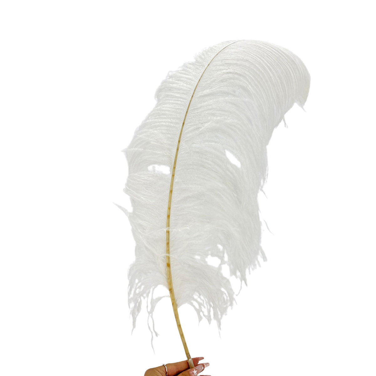 IMG_9402 GNW White Artificial Feather 35-40Cm - Image 1