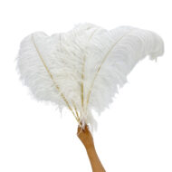 GNW White Artificial Feather 35-40Cm - Image 3
