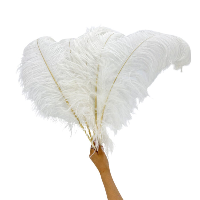 GNW White Artificial Feather 35-40Cm - Image 3