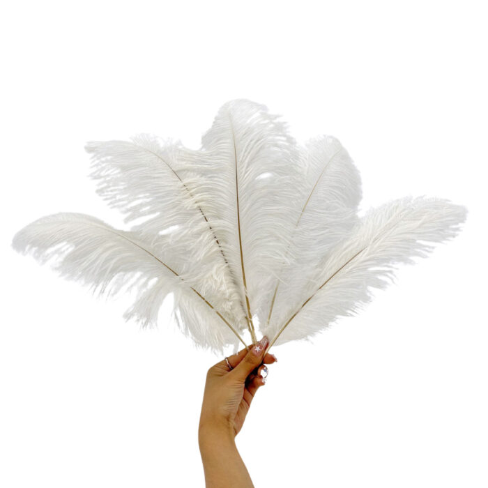 GNW White Artificial Feather 35-40Cm - Image 3