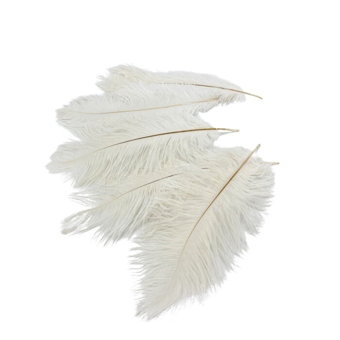 GNW White Artificial Feather 35-40Cm - Image 2