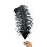 GNW Black Real Feather 35-40Cm