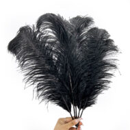 GNW Black Real Feather 35-40Cm - Image 3