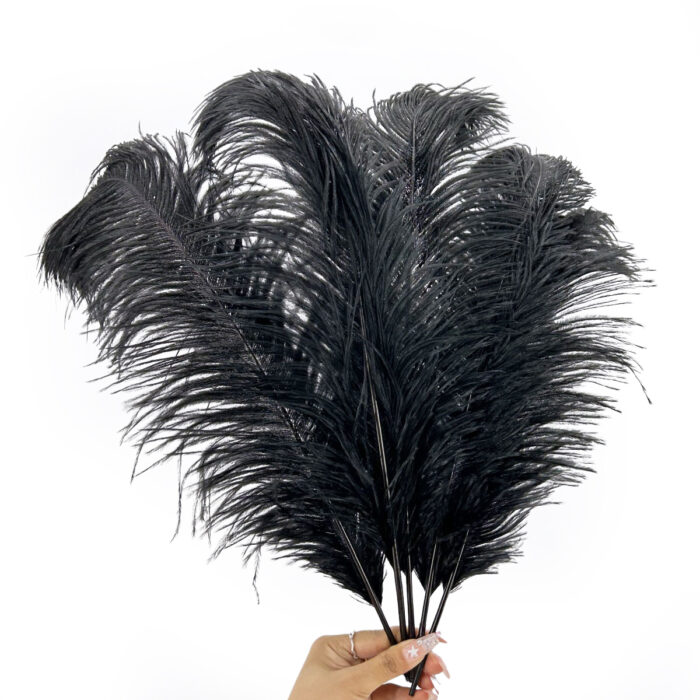 GNW Black Real Feather 35-40Cm - Image 3