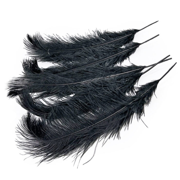 GNW Black Real Feather 35-40Cm - Image 2