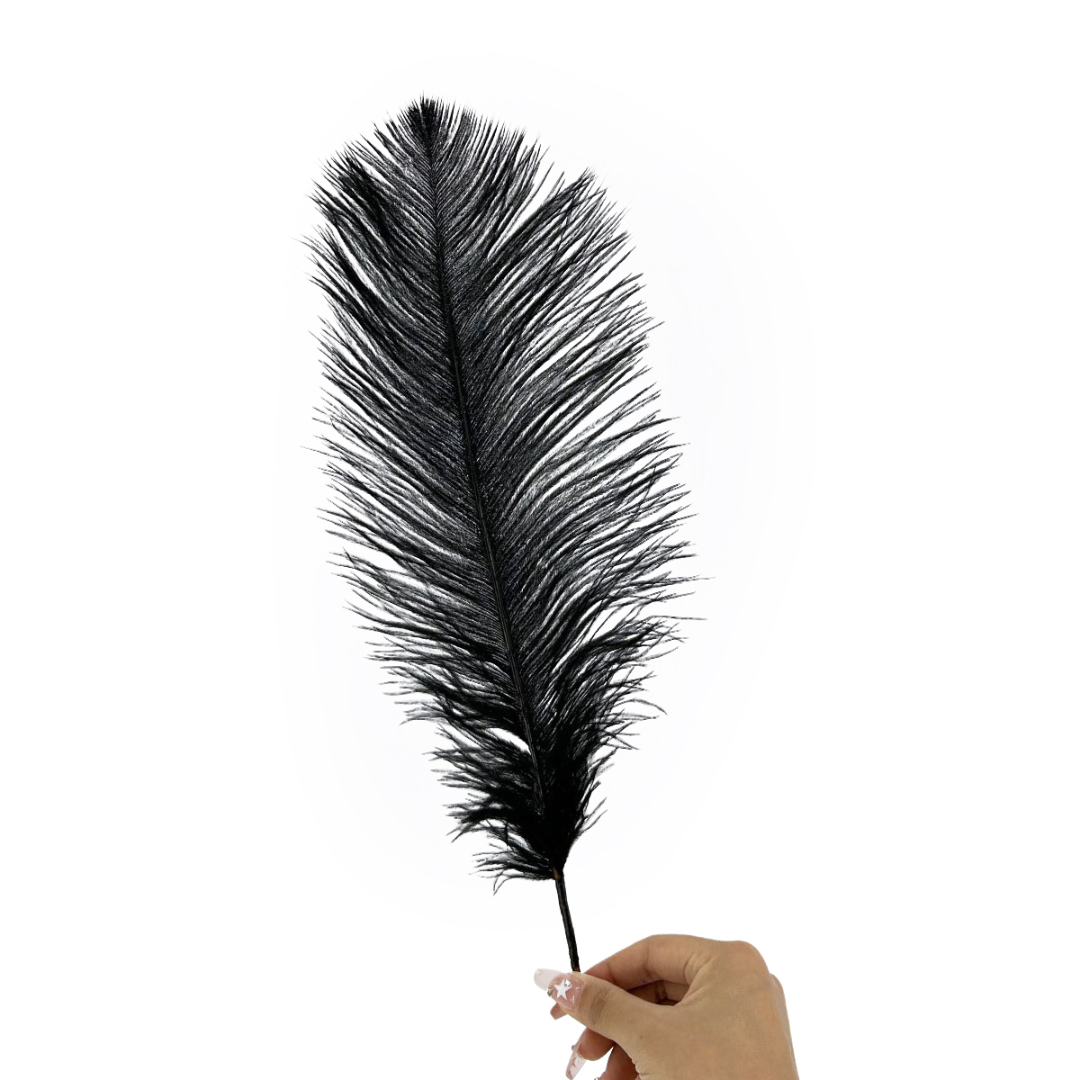 IMG_9418 GNW Black Real Feather 25-30Cm - Image 1