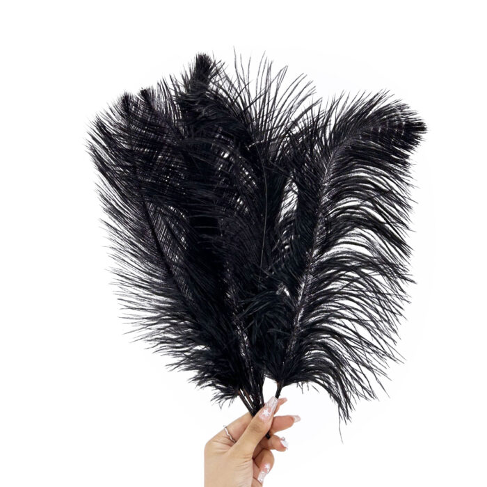 GNW Black Real Feather 25-30Cm - Image 3