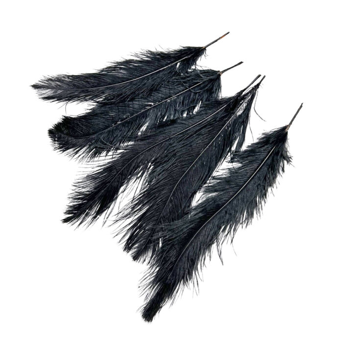 GNW Black Real Feather 25-30Cm - Image 2
