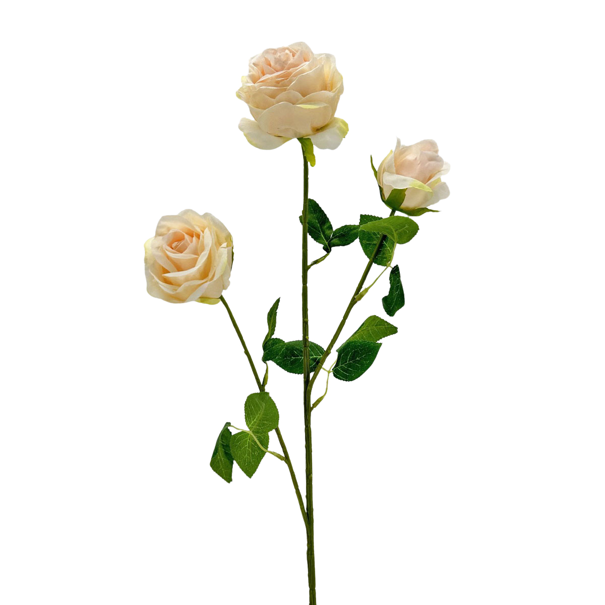IMG_9479 GNW Light Beige Artificial Garden Rose Silk WX-09 - Image 1