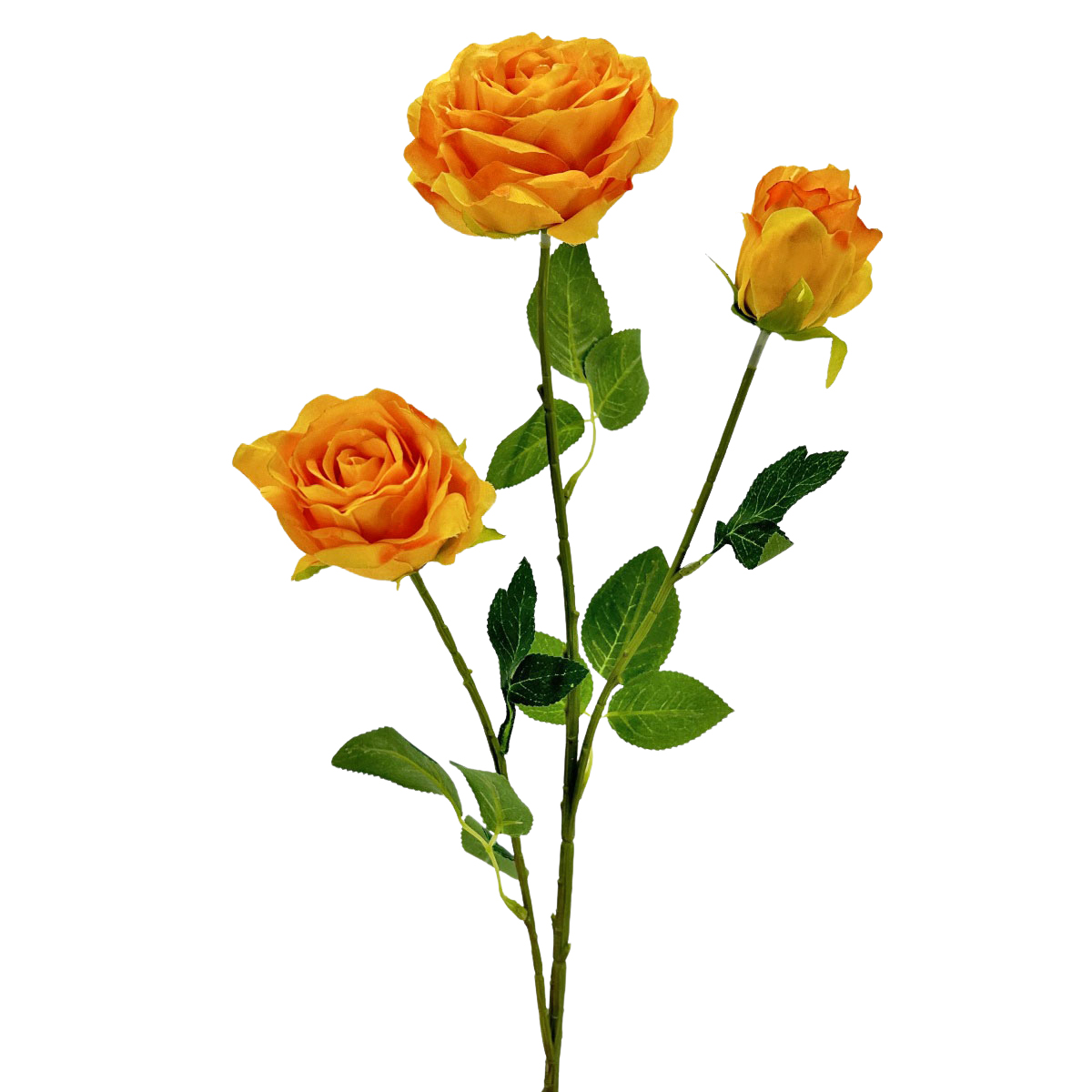 IMG_9483 GNW Orange Artificial Garden Rose Silk WX-39 - Image 1
