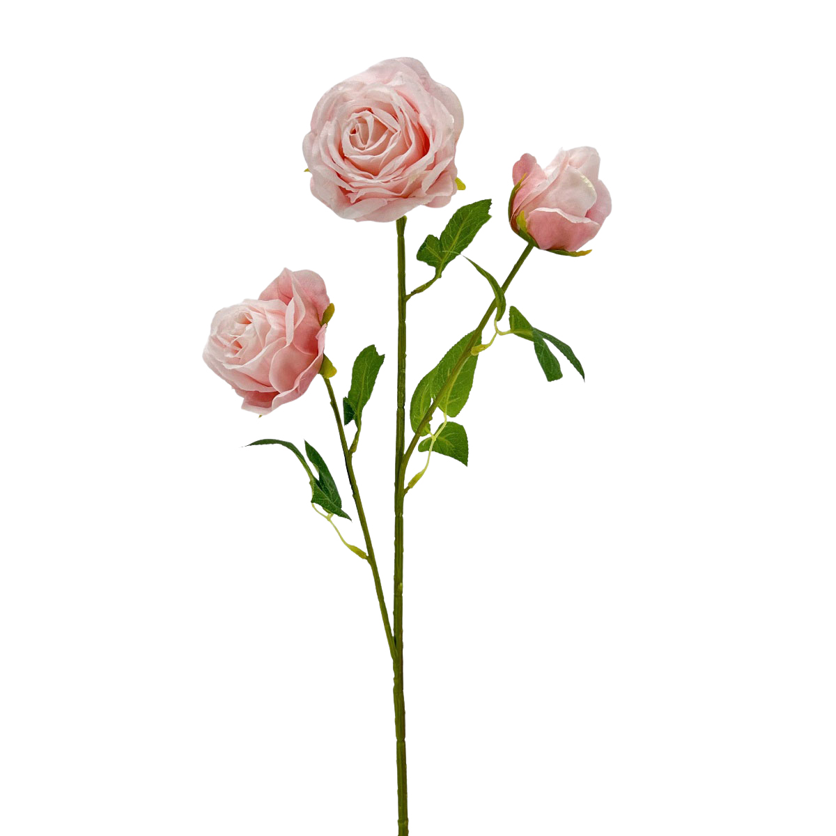 IMG_9491 GNW Light Pink Artificial Garden Rose Silk WX-08 - Image 1